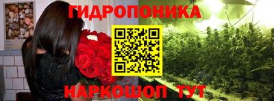 таблы Краснознаменск