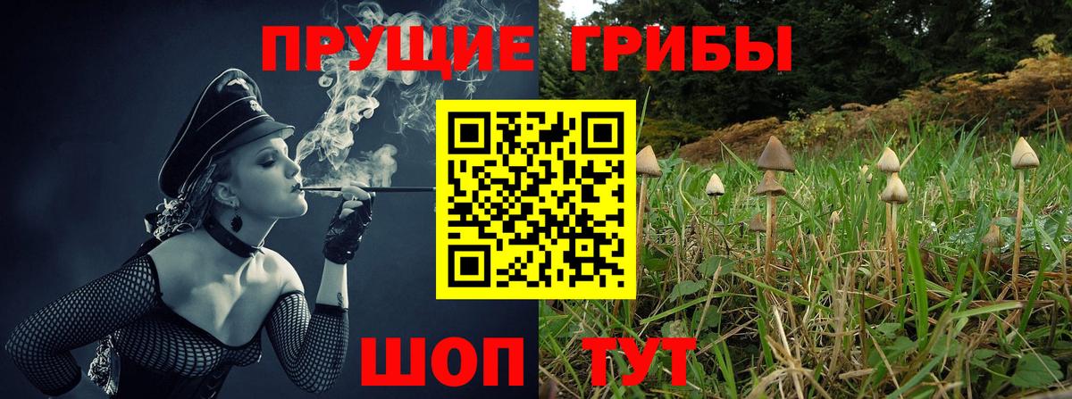 Галлюциногенные грибы Psilocybine cubensis  Псилоцибиновые грибы мухоморы  Ковров  Вход с VPN 